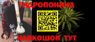 гашик Бузулук