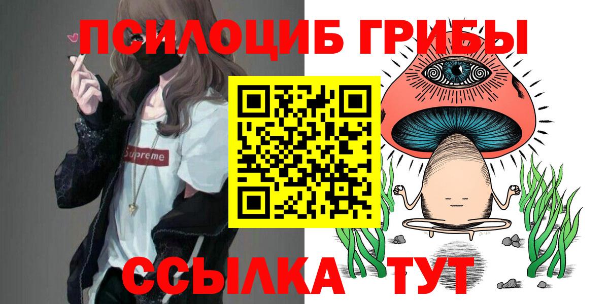 Галлюциногенные грибы мицелий  Вход с VPN  Острогожск  Псилоцибиновые грибы Psilocybe 